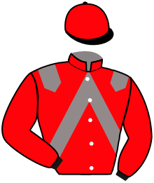 Casaque du n°9 — JIM DU PALAIS