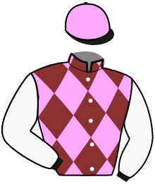 Casaque du n°10 — MACLANDER