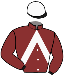 Casaque du n°10 — LIEUTENANT COLUMBO