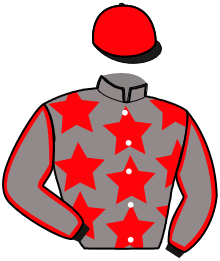 Casaque du n°2 — LORD MIL