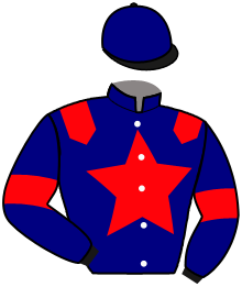 Casaque du n°11 — LIESSE DU CHENE
