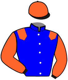 Casaque du n°10 — KOKTAIL LUDOIS