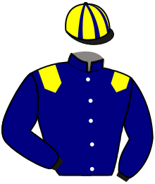 Casaque du n°11 — KING STEED