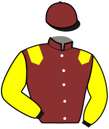 Casaque du n°4 — KABRELLA