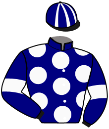 Casaque du n°1 — NOBEL KADESH