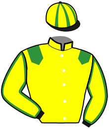 Casaque du n°2 — NARCISSE DU BOIRON