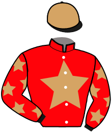 Casaque du n°8 — NOVA CASTELETS