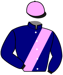 Casaque du n°9 — NESTA DE VANDEL