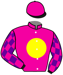 Casaque du n°8 — APOLLO CODE