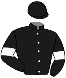 Casaque du n°2 — DHABAB
