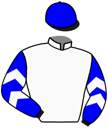Casaque du n°5 — FIVE G
