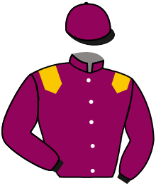 Casaque du n°1 — TAB AT ZANZIBAR