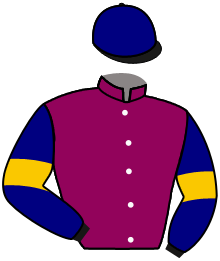 Casaque du n°2 — CY FAIR