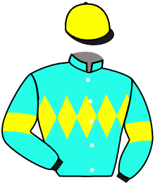 Casaque du n°3 — SAPPHIRE BEACH