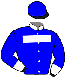 Casaque du n°1 — LINCOLN RENKA
