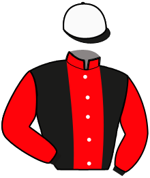 Casaque du n°2 — LUCKY DU DOUET