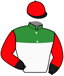 Casaque du n°3 — LAHRANA DU HAUTY