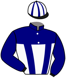 Casaque du n°10 — PRIMROSE BOKO