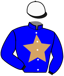 Casaque du n°3 — RAJAH RIS