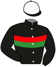 Casaque du n°10 — PEPPER DRAGON