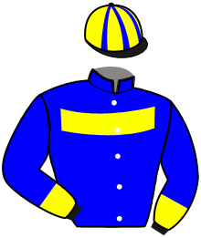Casaque du n°5 — PRISHANA BOKO