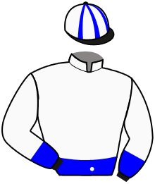 Casaque du n°5 — MARK SCHERMER