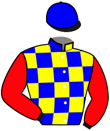 Casaque du n°7 — ODANA VRIJTHOUT