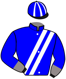 Casaque du n°13 — RAEBIANCA BOKO