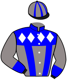 Casaque du n°7 — ROBINE E