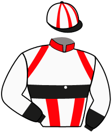 Casaque du n°5 — MUSE ROYALE