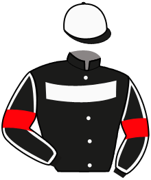 Casaque du n°6 — MAGMA MADRIK