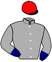 Casaque du n°7 — MONSIEUR ROUGE TF