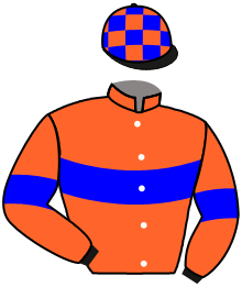 Casaque du n°3 — BEIBHINN