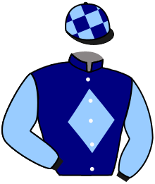 Casaque du n°2 — INDALIMOS