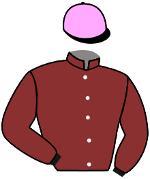 Casaque du n°4 — MAHIYA