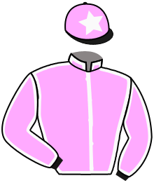 Casaque du n°12 — TELCHERBOLINE