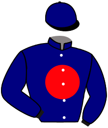 Casaque du n°14 — MIYALAA