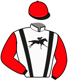 Casaque du n°2 — HASAPIKO