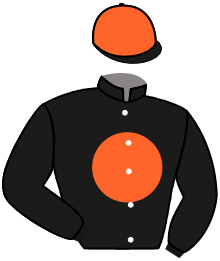 Casaque du n°3 — LADY MADELEINE