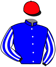 Casaque du n°6 — LA FERRETCAPIENNE