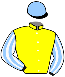 Casaque du n°2 — ECIJA