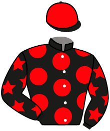 Casaque du n°3 — MARIA JOANA