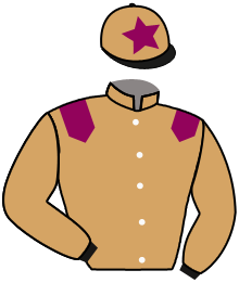 Casaque du n°7 — SHERA