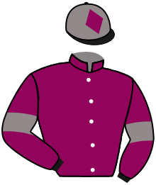 Casaque du n°1 — EAST GREY