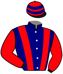 Casaque du n°6 — EL PEQUENIO
