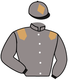 Casaque du n°9 — STRAKO