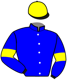 Casaque du n°7 — NORMANDY JOSSELYN