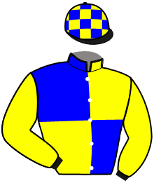 Casaque du n°14 — JAMAICA D'OYSE