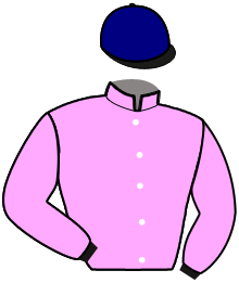 Casaque du n°7 — KASHKAI