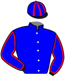 Casaque du n°13 — MIKAO DU BAS BOSQ
